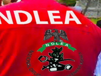 NDLEA Career Portal