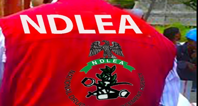 NDLEA Career Portal